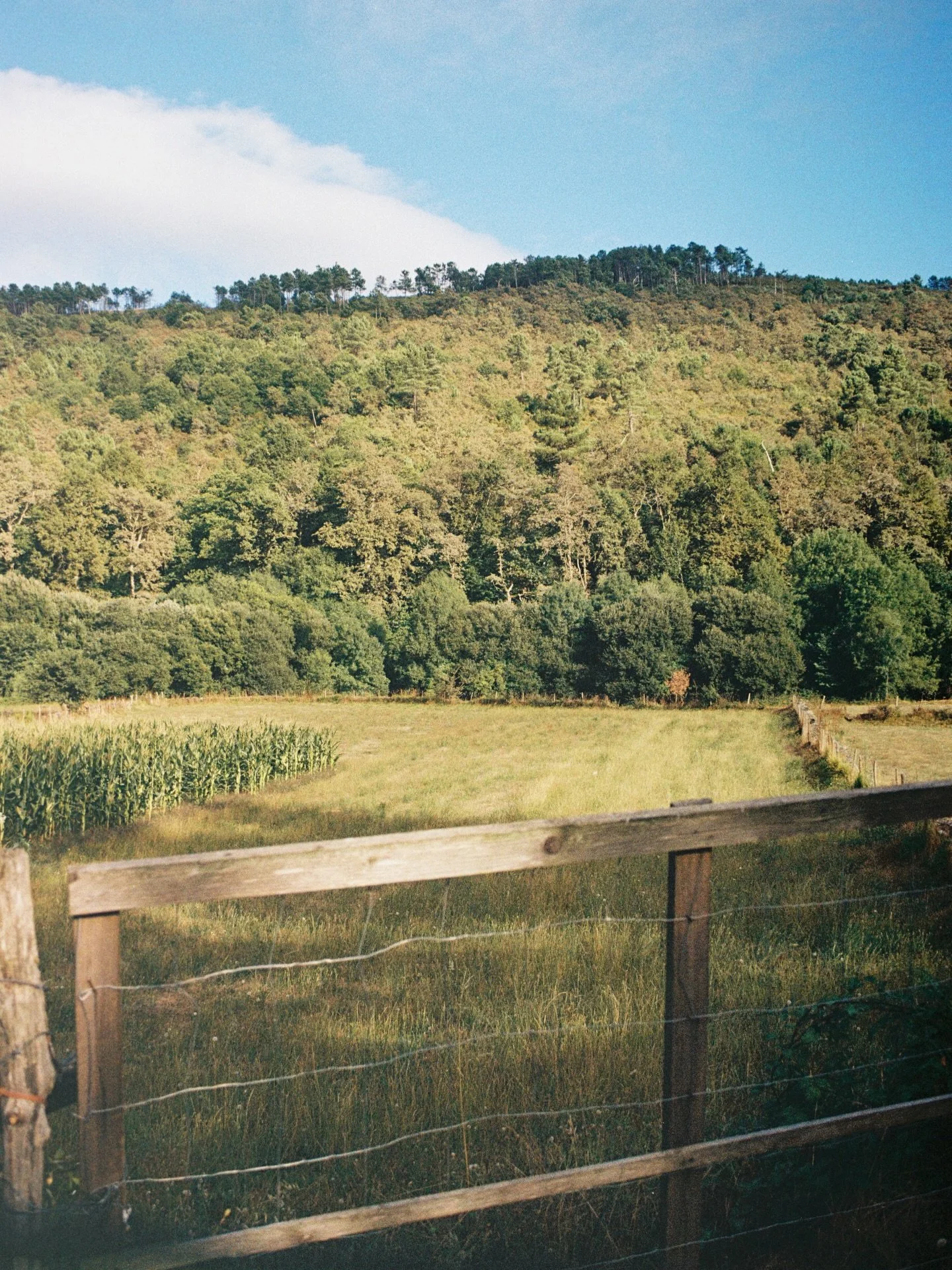 North of Portugal on film
Kodak Gold 200 and Fuji C200
#onfilm #kodak #portugal