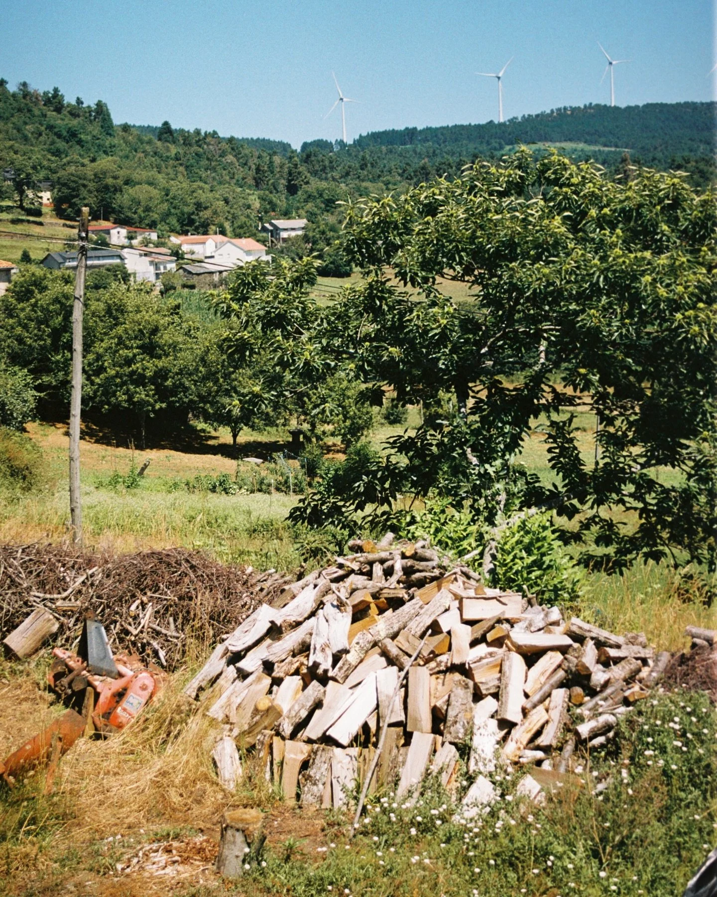 Some film favorites 
Kodak Gold 200 and Kodak ColorPlus200
Which one is your favorite? (1-12)
#onfilm #kodak