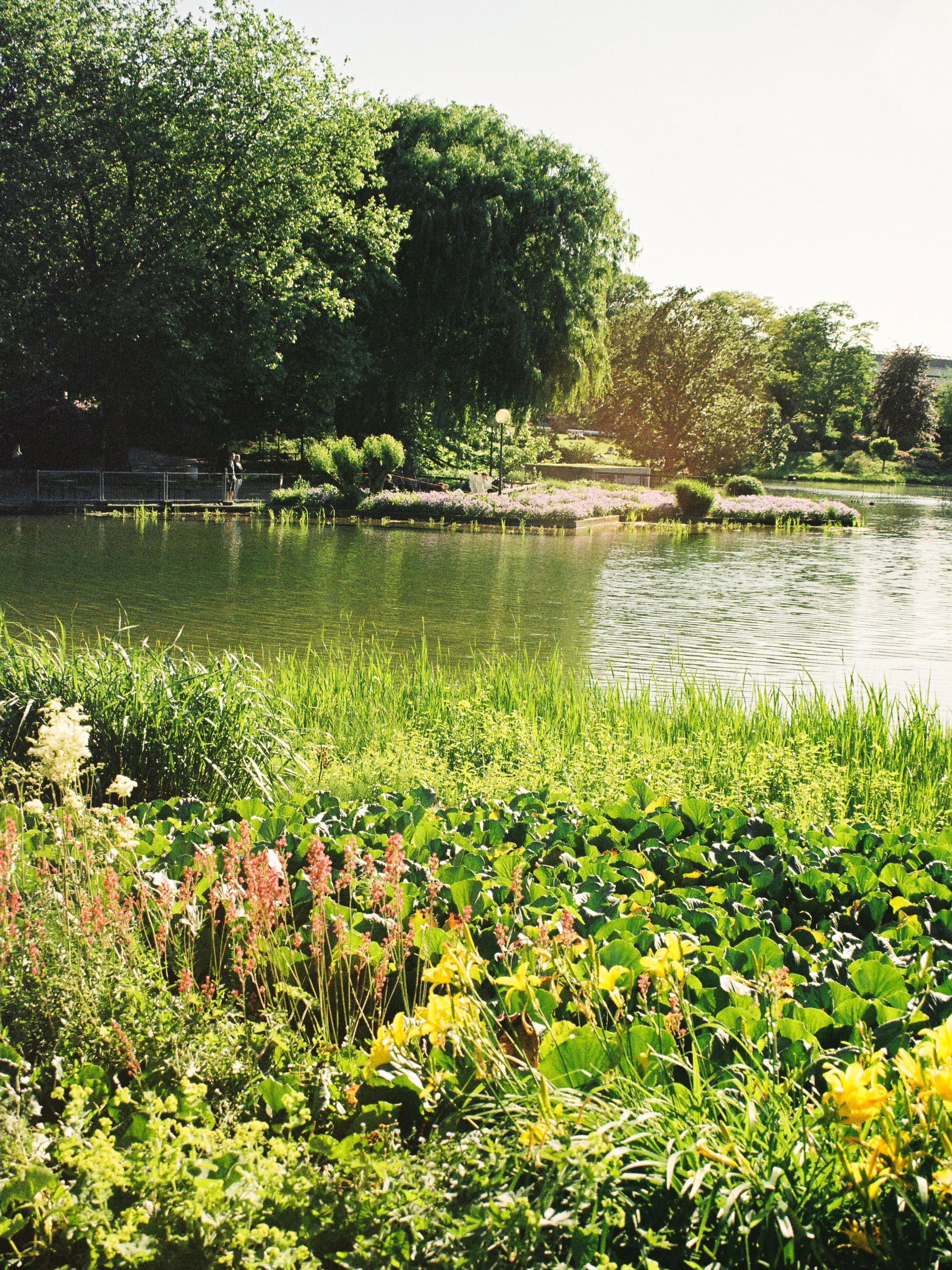 Hamburg on film 
Portra 400 and Kodak Gold 200
#hamburg #kodak #onfilm #portra #kodakgold200