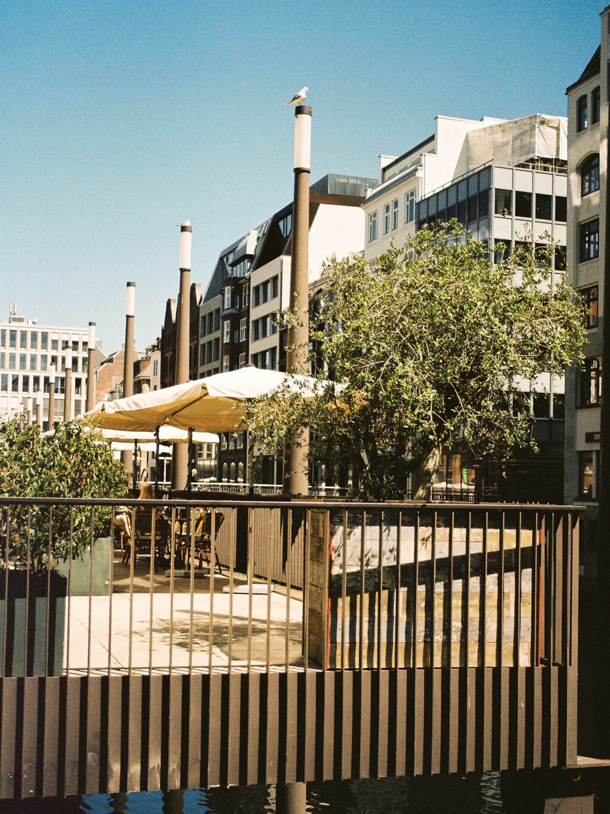 Hamburg on film 
Portra 400, Portra 160 and Kodak Gold 200
#hamburg #kodak #onfilm #portra #kodakgold