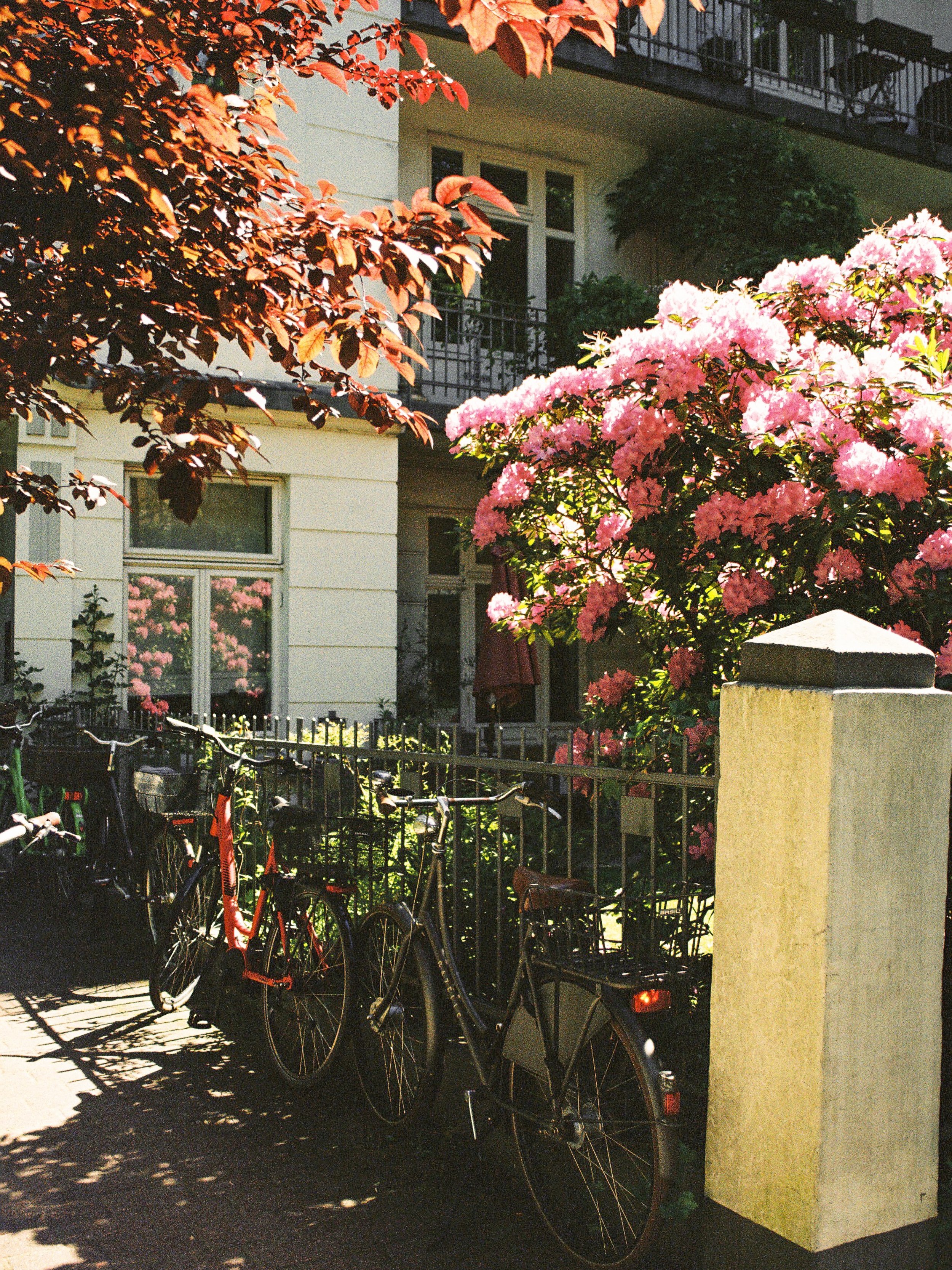 Hamburg on film 
Kodak Gold 200, Portra 400 and Portra 160
#hamburg #kodak #onfilm #portra #kodakgold