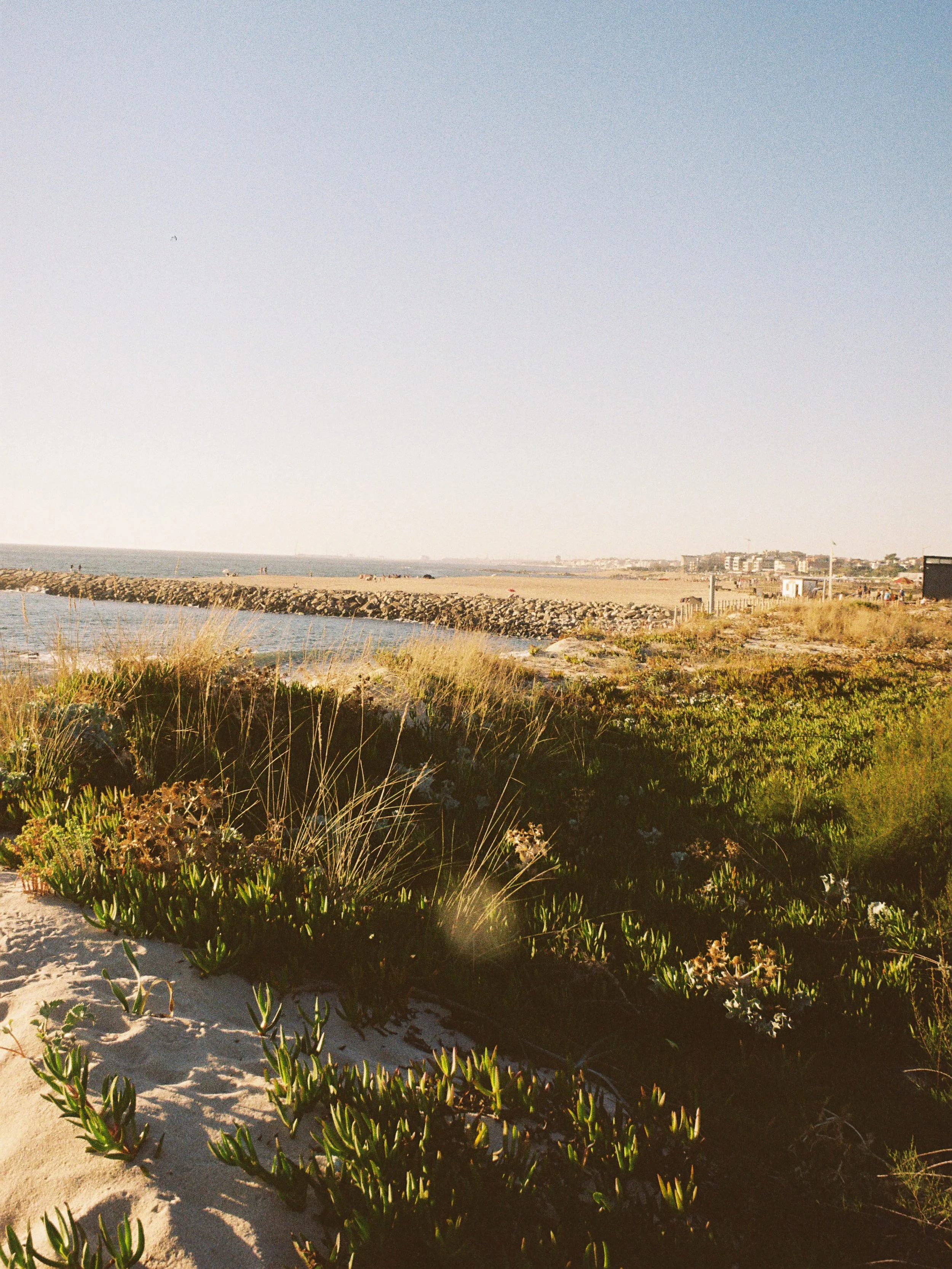 September on film 
Kodak Gold 200
#onfilm #september #portugal #analog