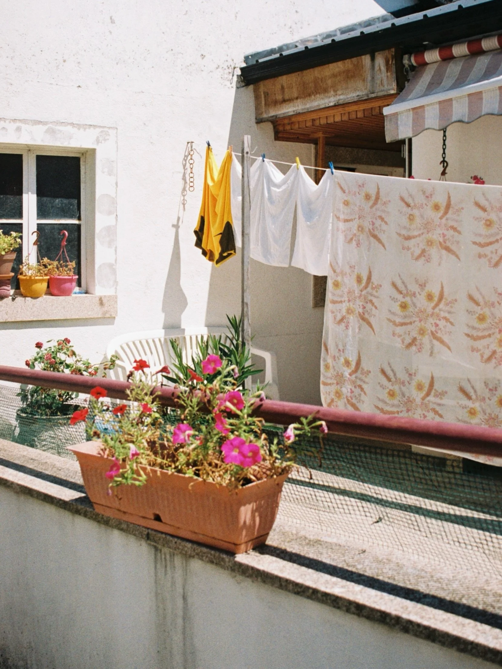 North of Portugal on film 
#onfilm #portugal #kodak