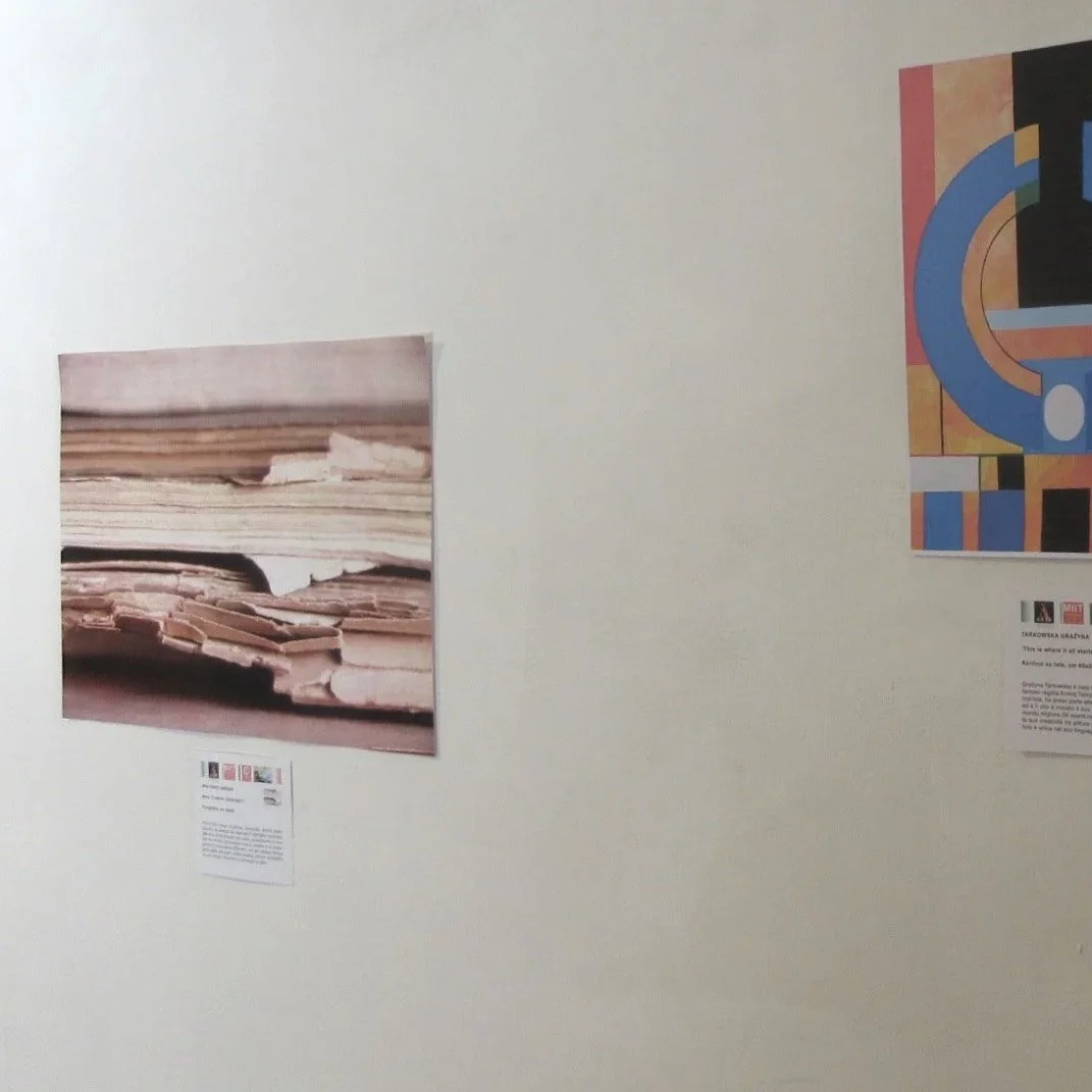 O Diário - "Imaginations of Masters", MIIT Museum, Turin, 2025