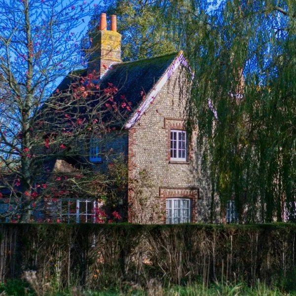 What does a conveyancer do in a property transaction?