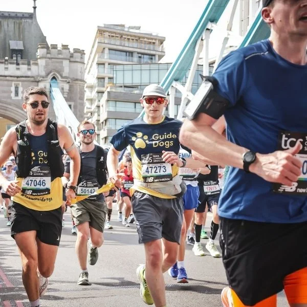 26.2 miles of pure determination!