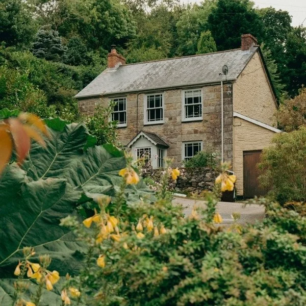What happens to a property if someone dies without a Will?