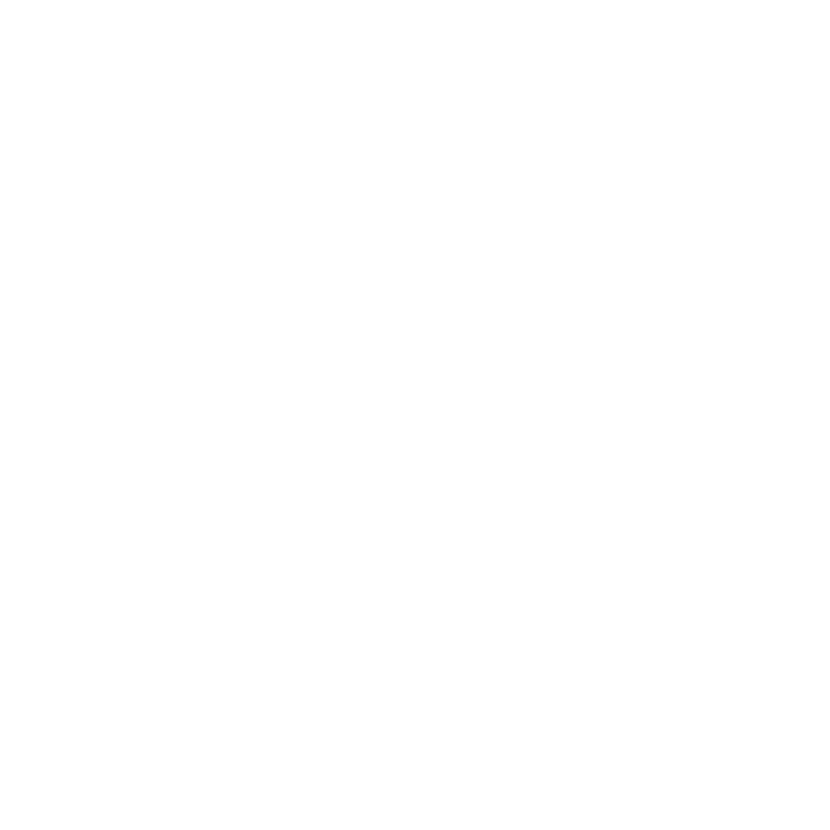 IUS Digital Solutions