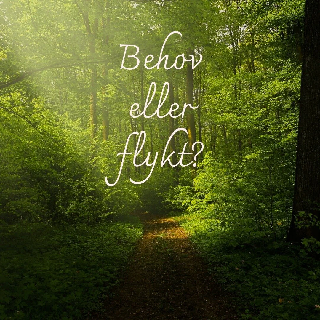 Vi har olika strategier och m&ouml;nster f&ouml;r att hantera v&aring;ra tankar och k&auml;nslor eller f&ouml;r att f&ouml;rs&ouml;ka minska det inre obehaget. I ett tidigare inl&auml;gg skrev jag om behovet att regelbundet st&auml;nga av f&ouml;r at