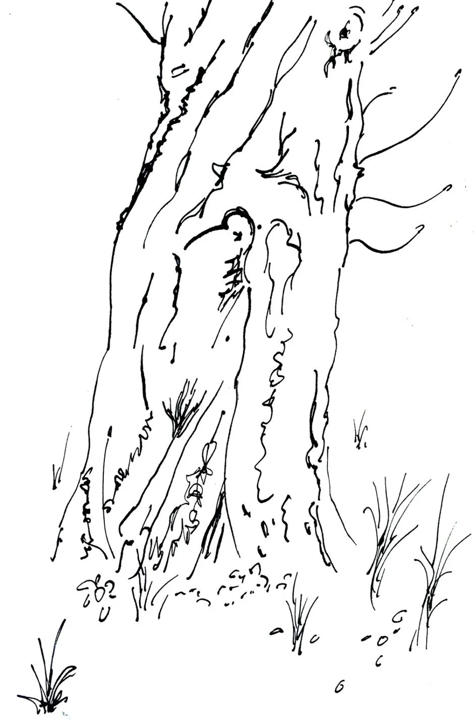Trunk.jpg