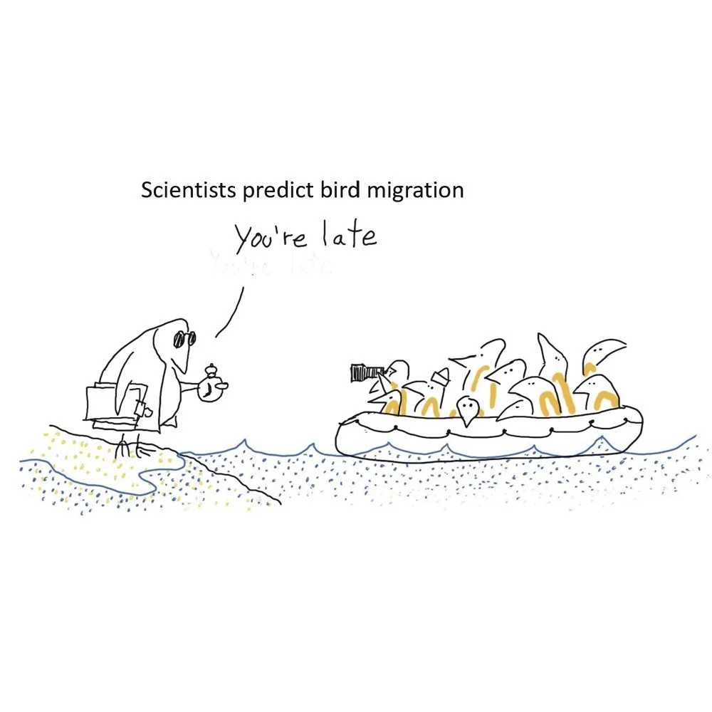 Bird_Migration.jpg