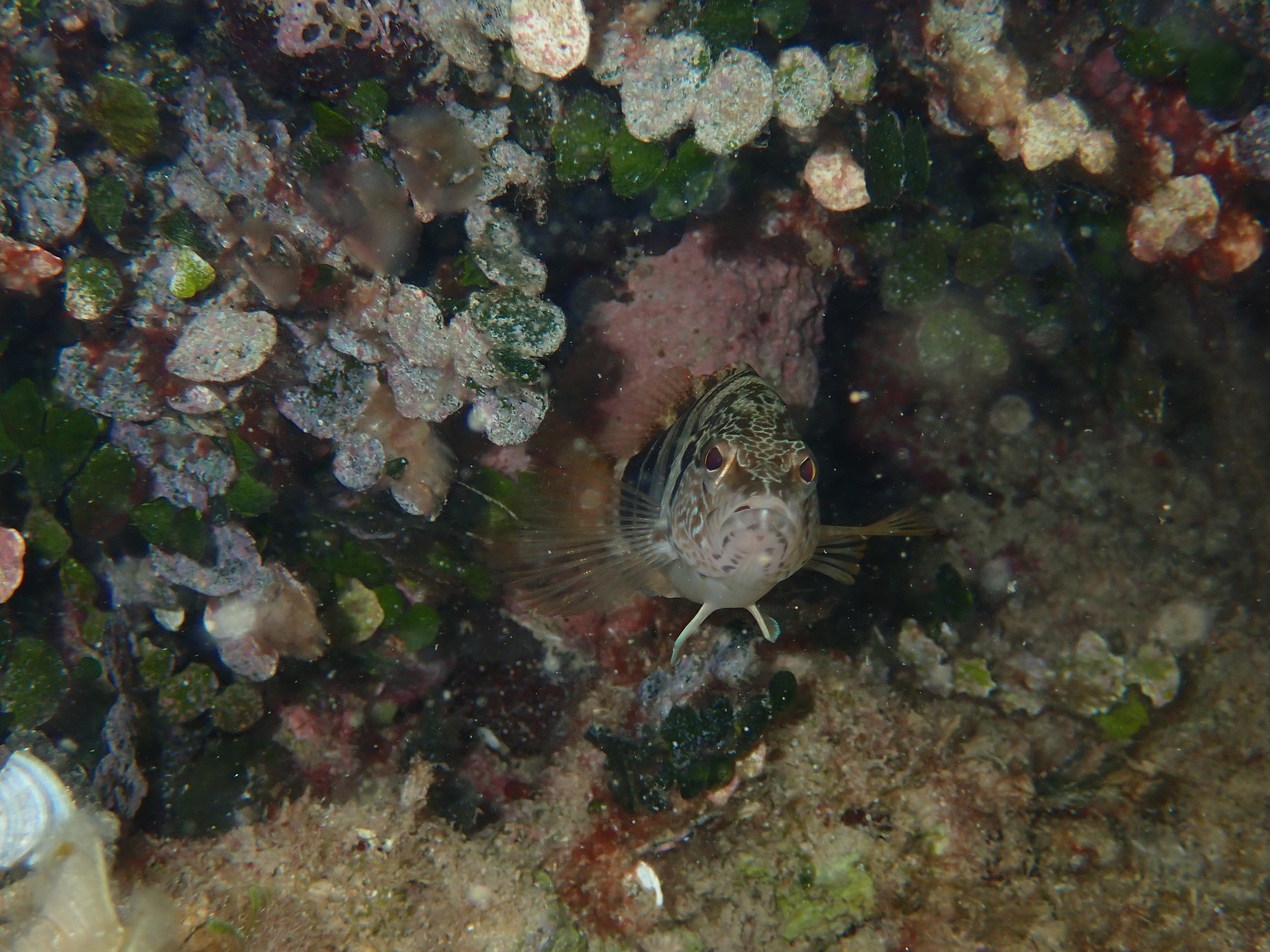 P8180063.JPG