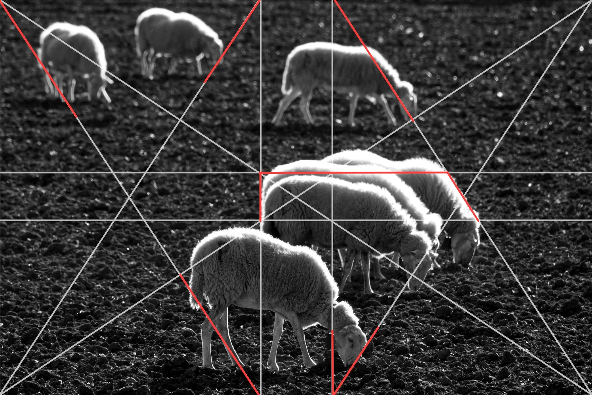 Ponència sobre ICM y Dynamic Simmetry