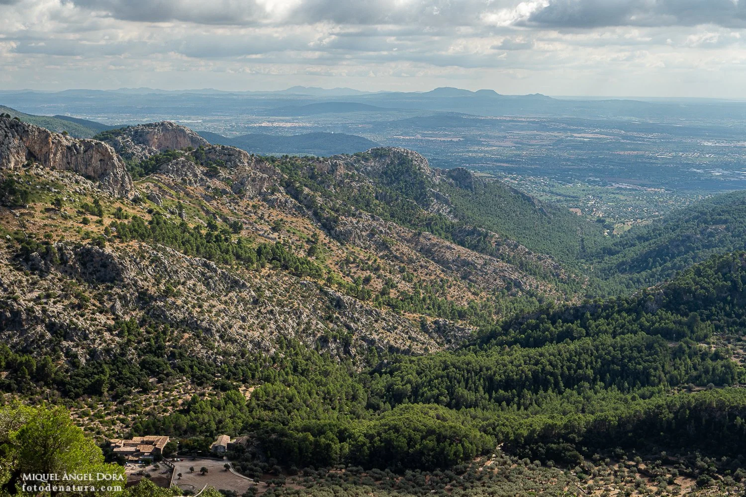 pastoritx-madora (2).jpg