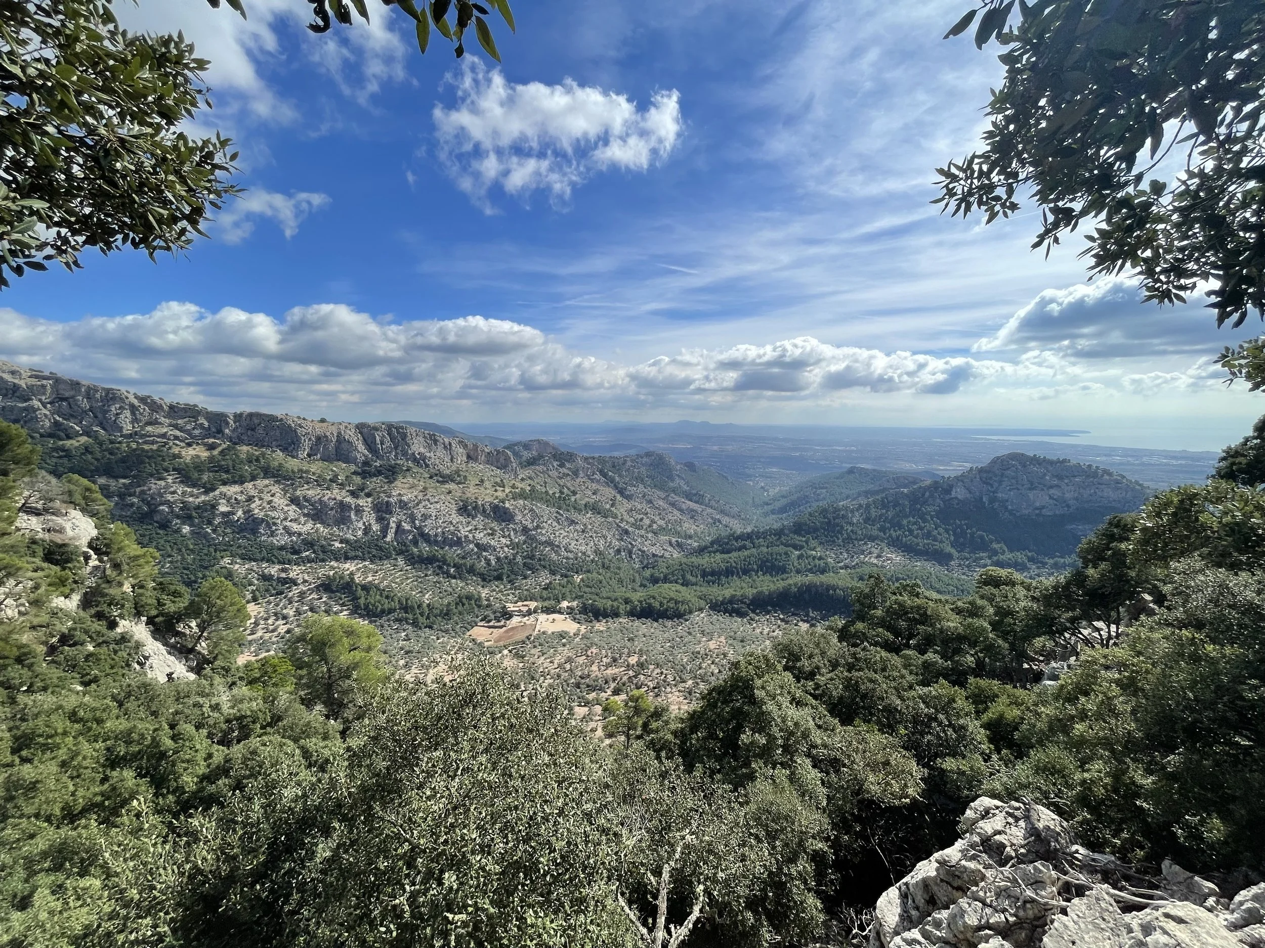 Excursió Fotogràfica Moleta de Pastoritx (Valldemossa)