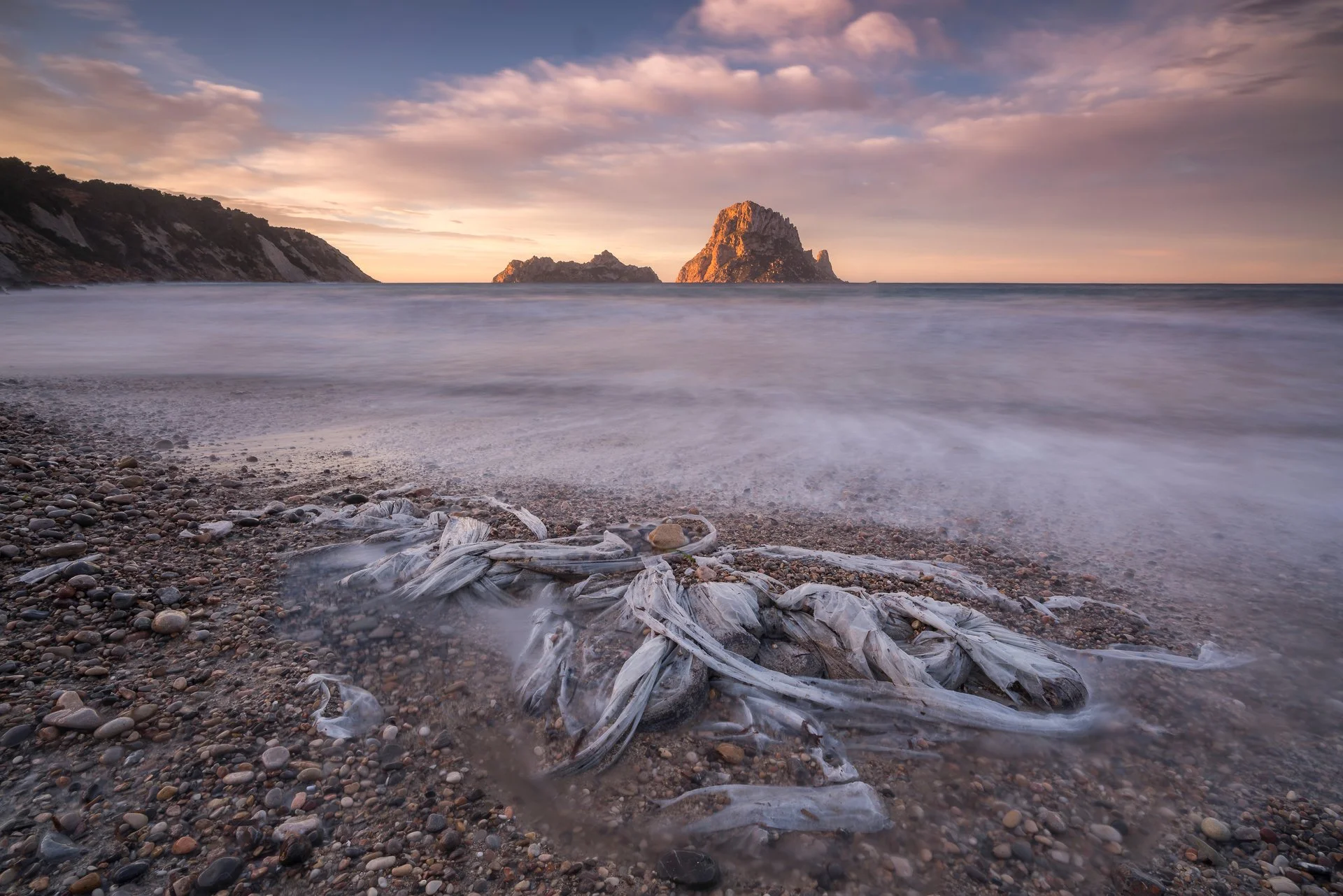 EL MOSTRE - Vicent Guasch - 3r premi Consciència mediambiental