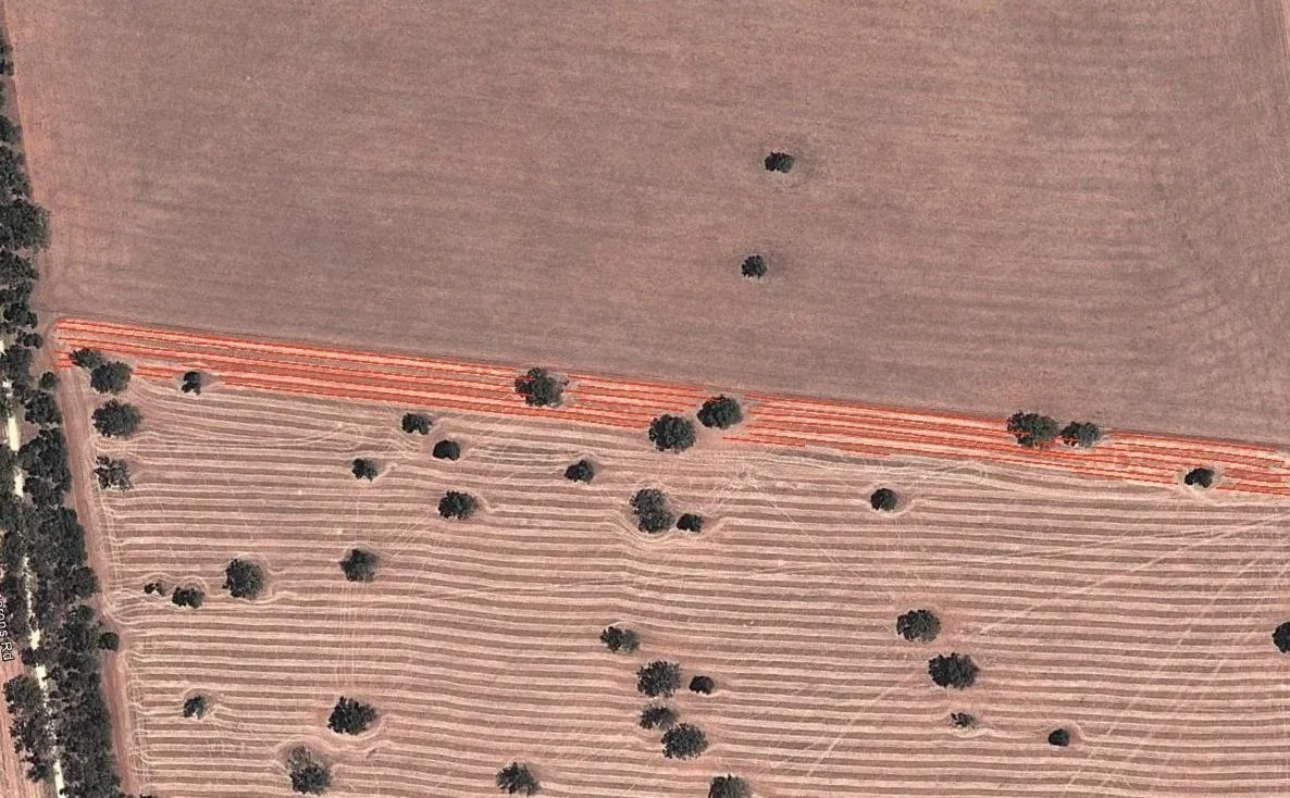 Mapped site preparation enables more efficiencies, with regard to site establishment e.g. ordering trees