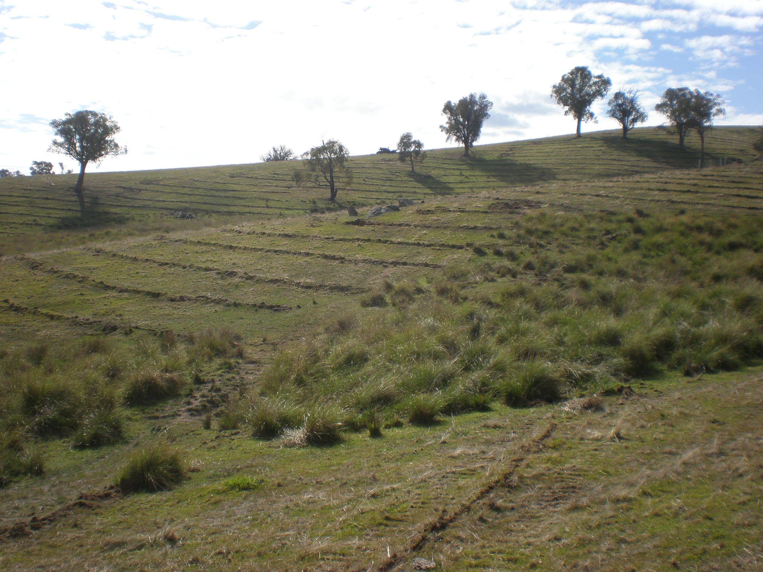 Site preparation sympathic to slope and contour of the landscape
