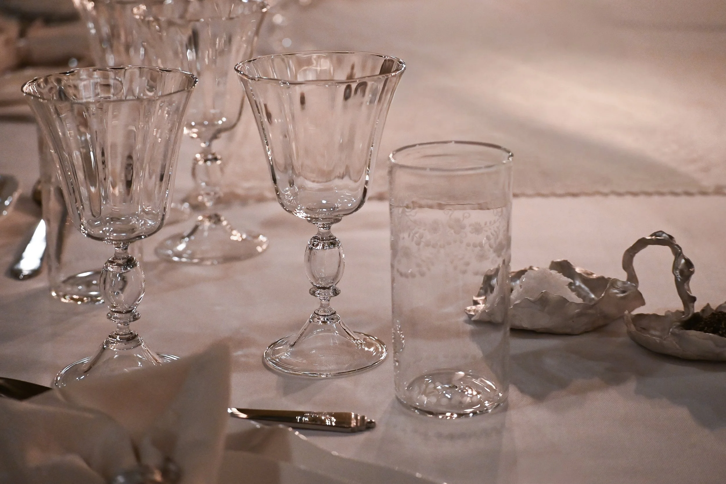 Elhanati dinner