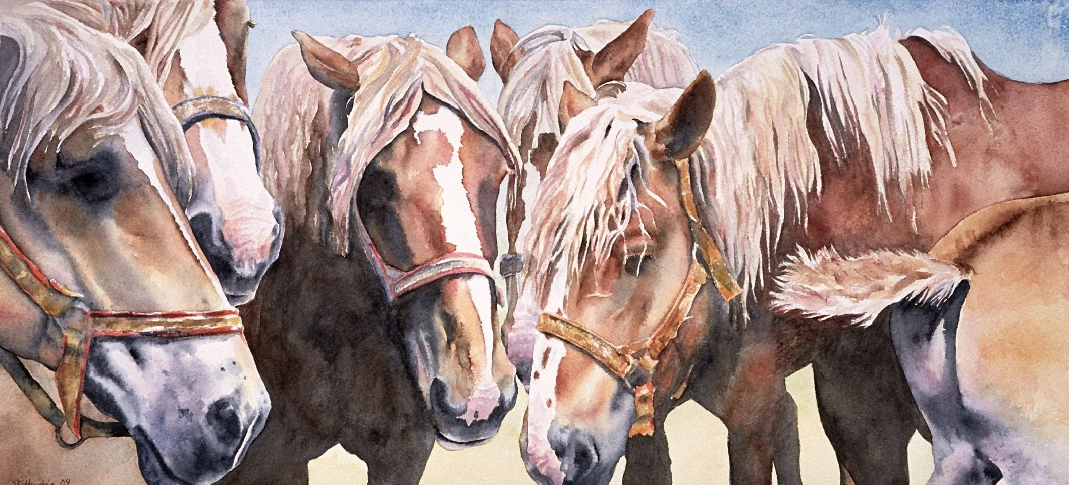 "Heads or Tails?" was juried into the 2006 Niagara Frontier Watercolor Society's National Exhibition
