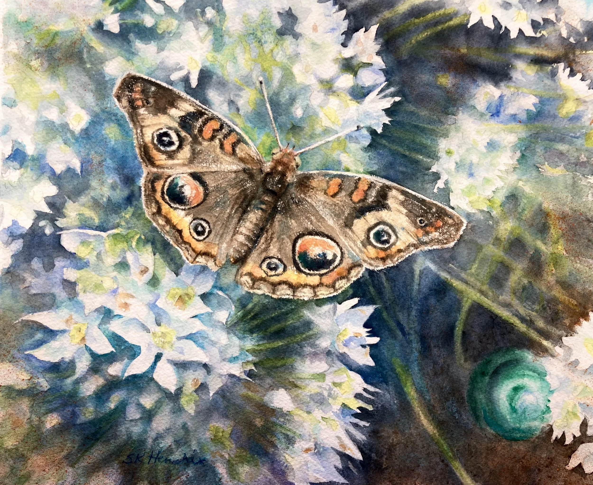 "Buckeye and Blooms" was selected by the Indiana Heritage Arts and Historic Brown County Art Gallery for special display in their Rapp Room, 2024.