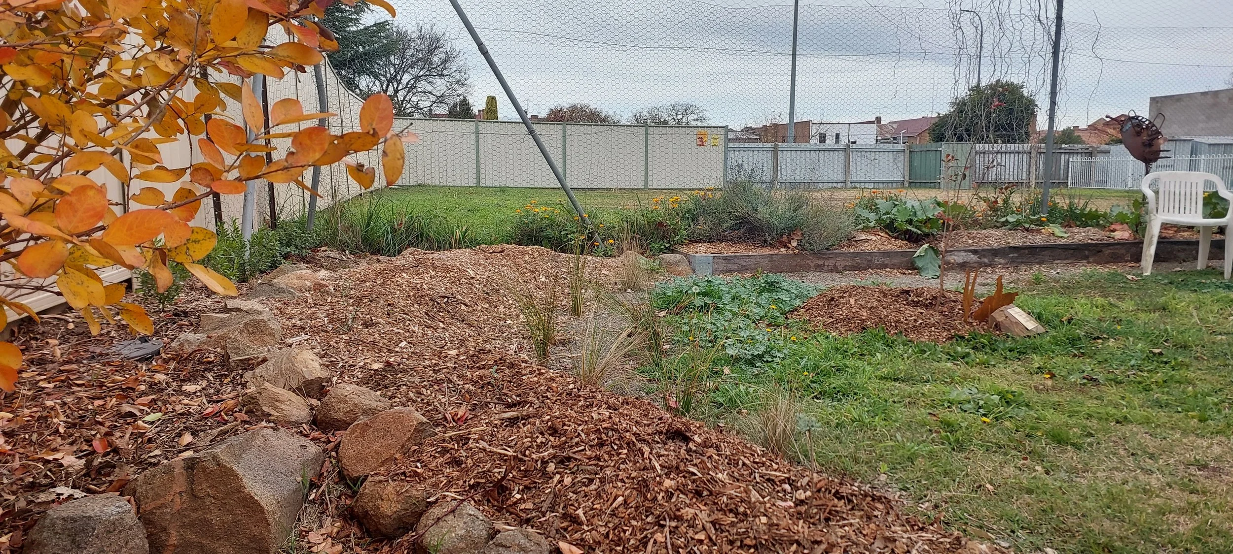 Raingarden after planting.jpg