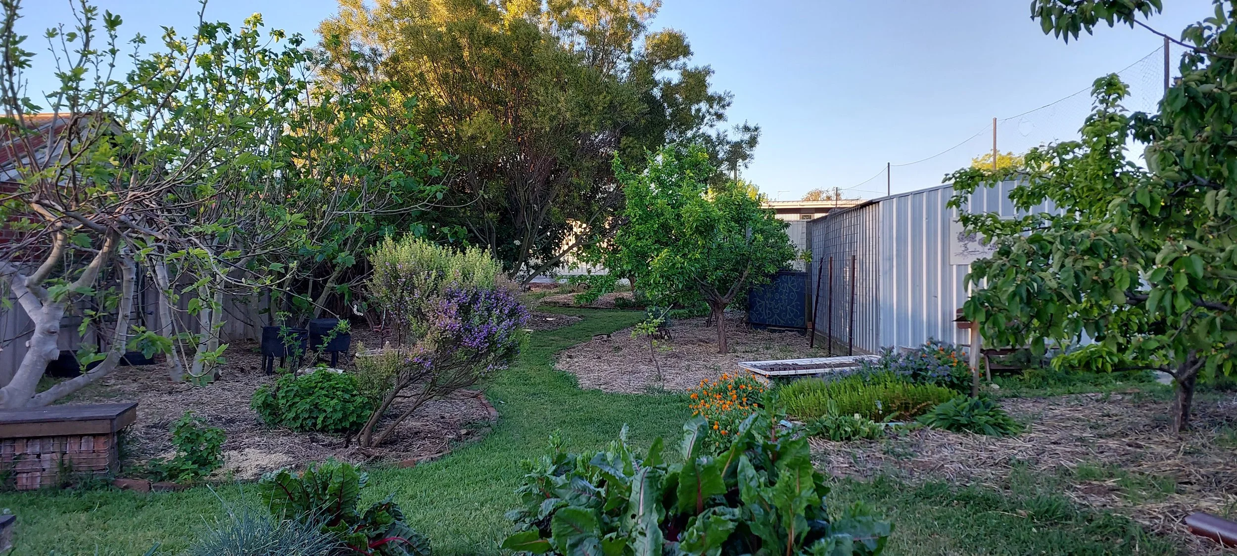 food forest