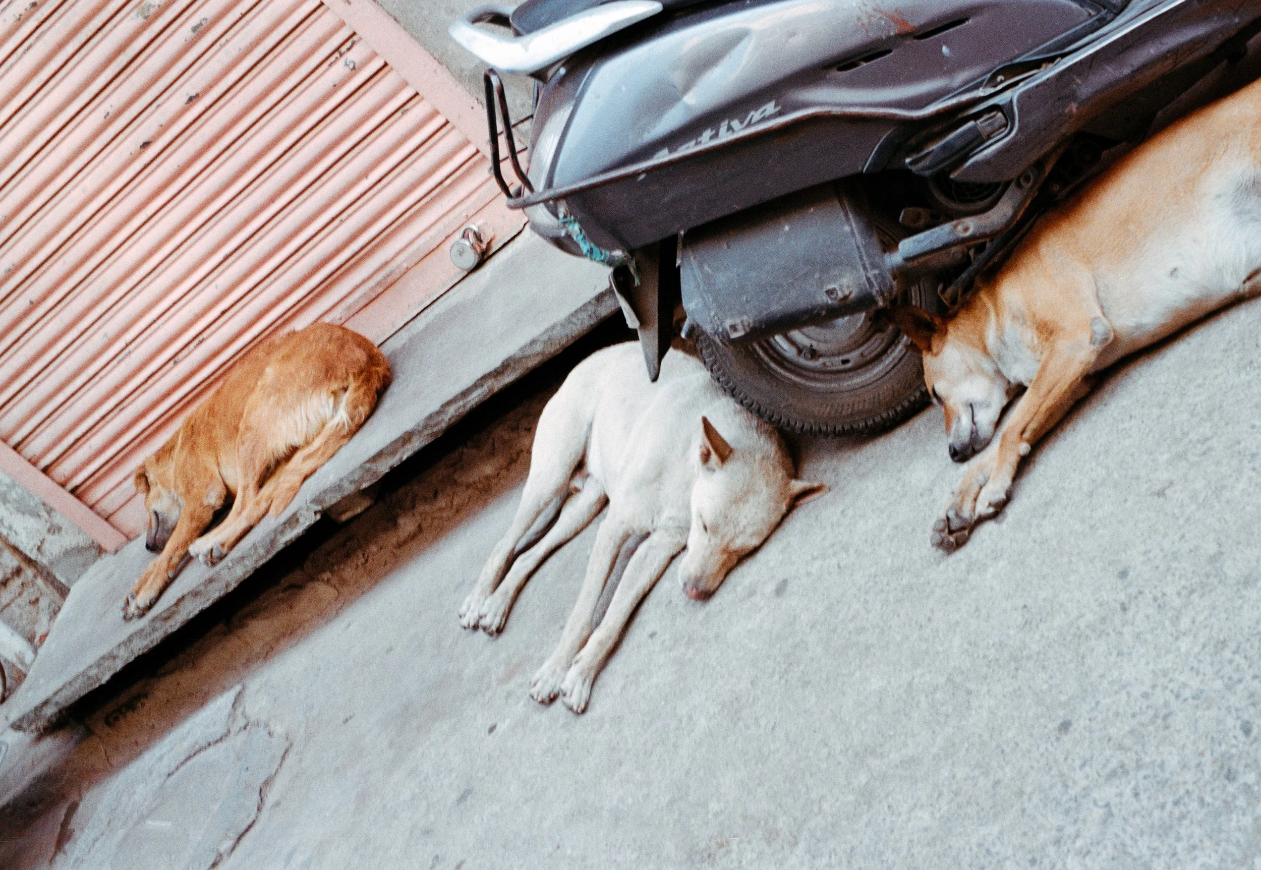 INDE (195).jpg