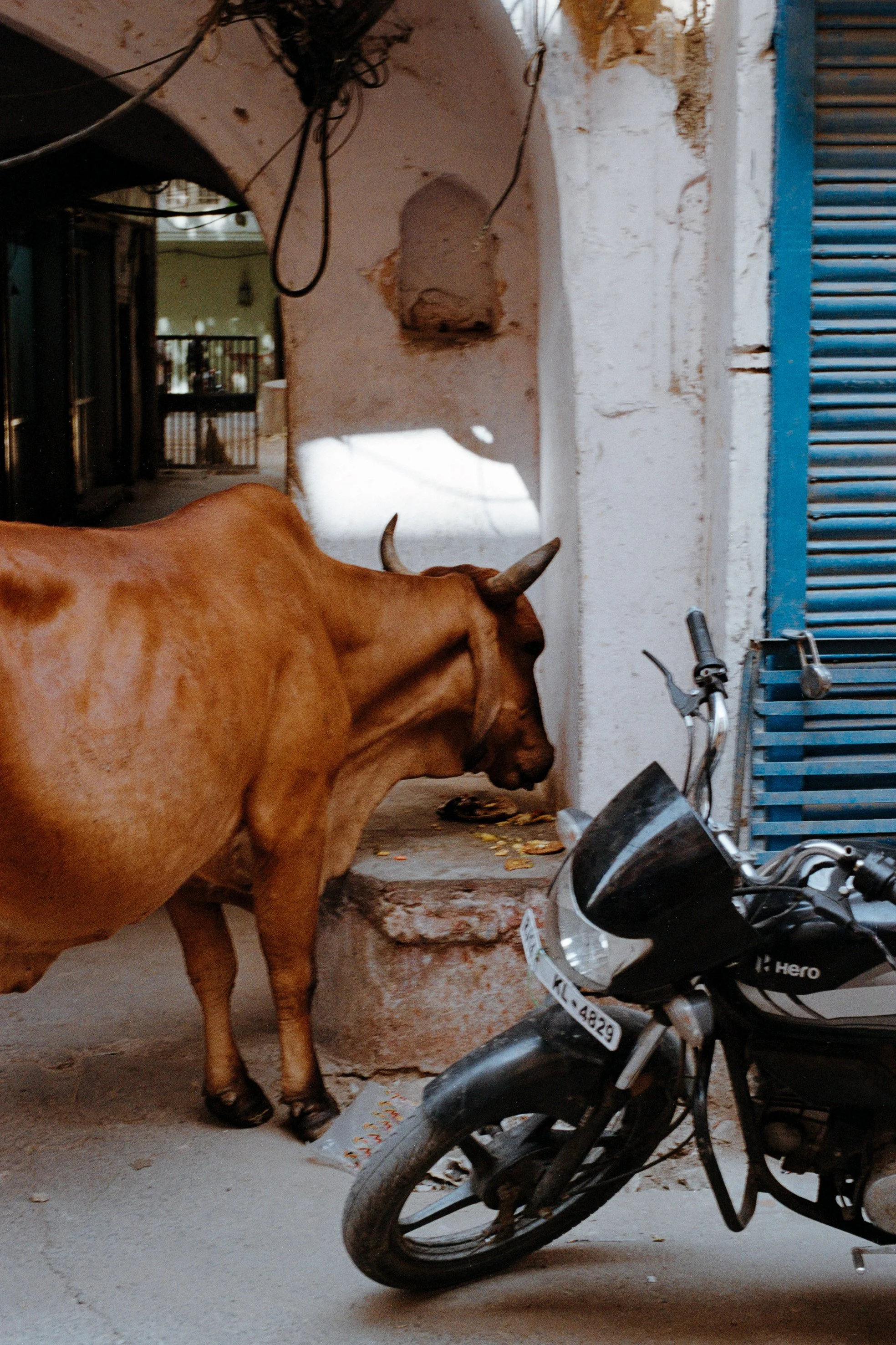 INDE (183).jpg