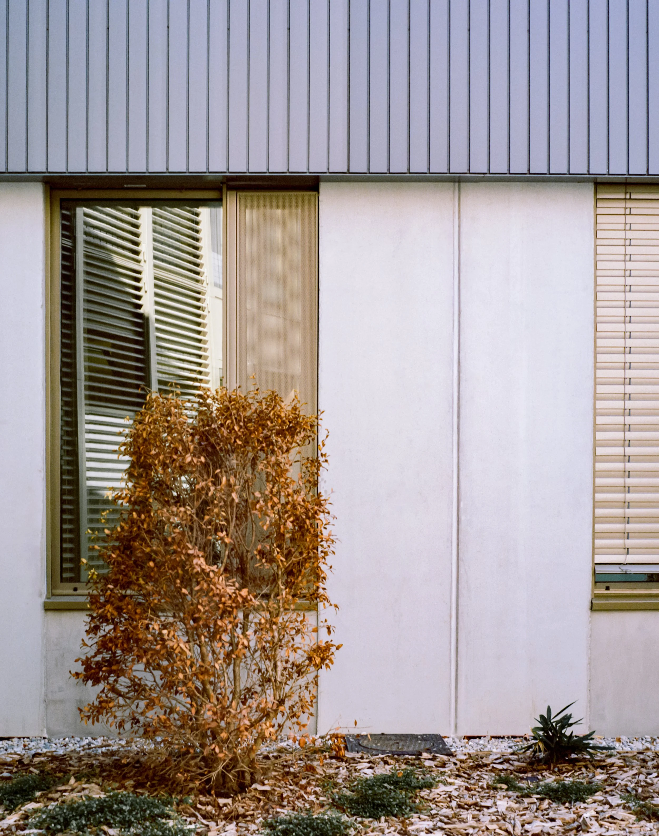 Offner-23.jpg