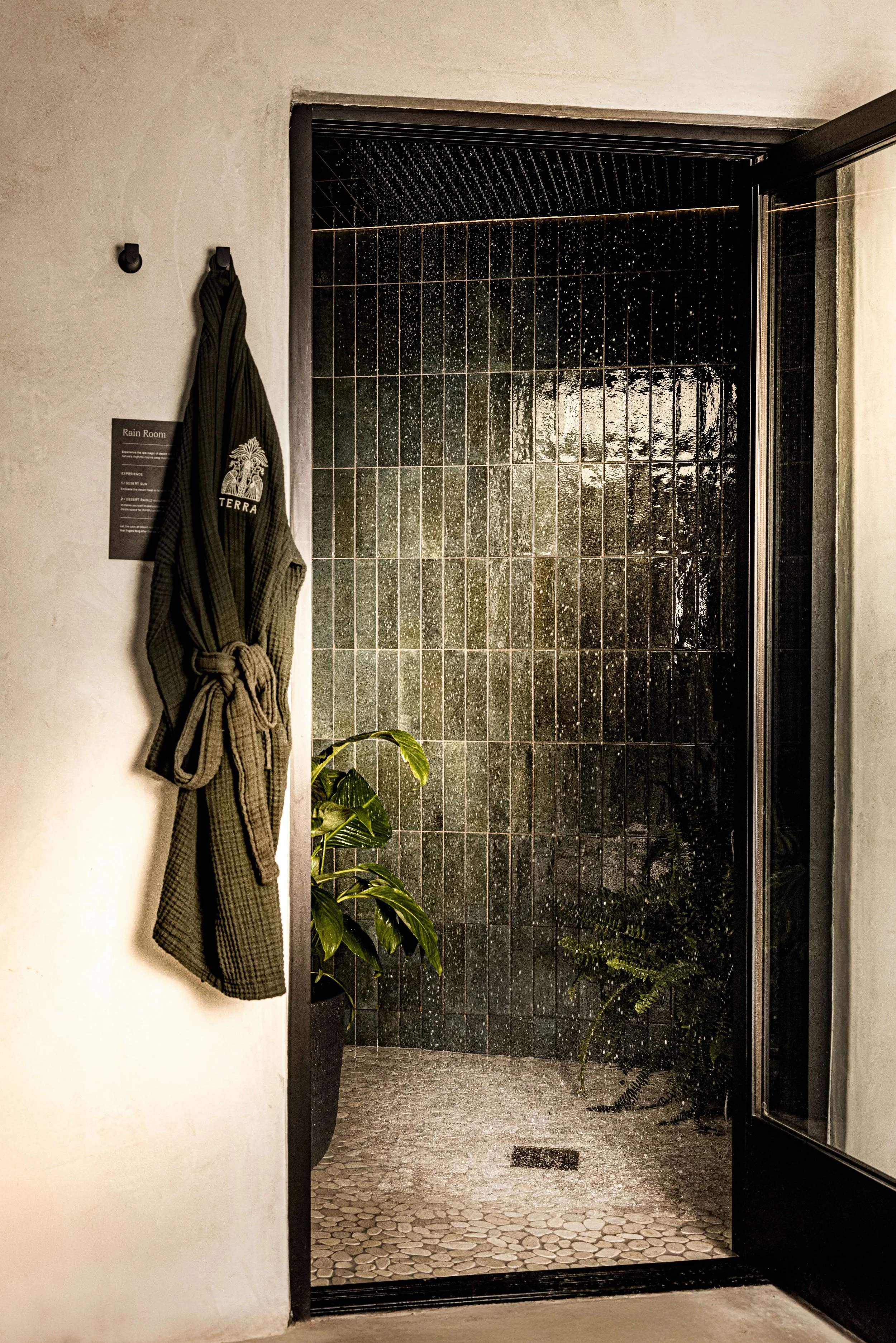 _26A1423-Edit-Low Res.jpg