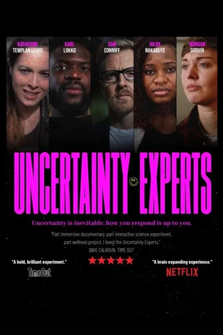 Uncertainty Experts
