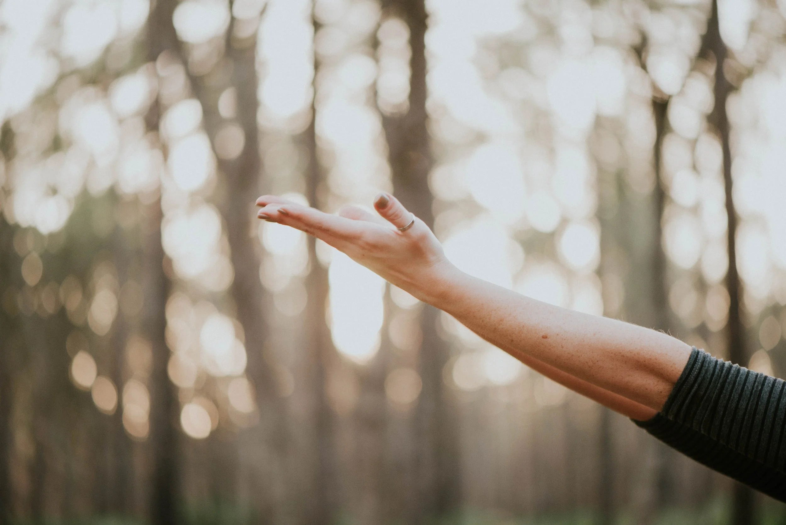 Pranayama - The Breath of Life