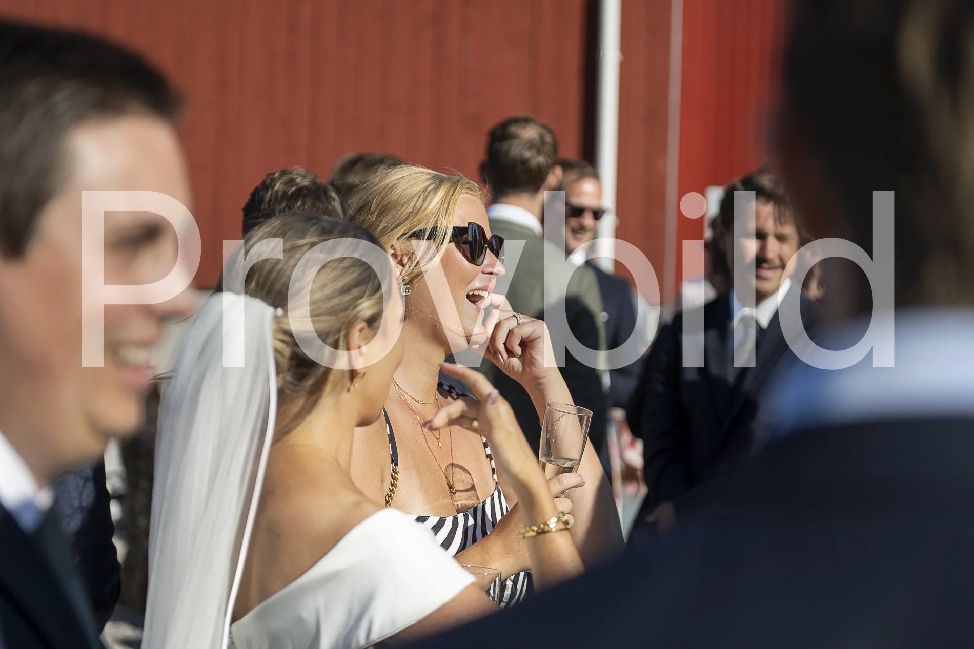 GitzCreative_KristinViktorssson_DSC_0430.jpg
