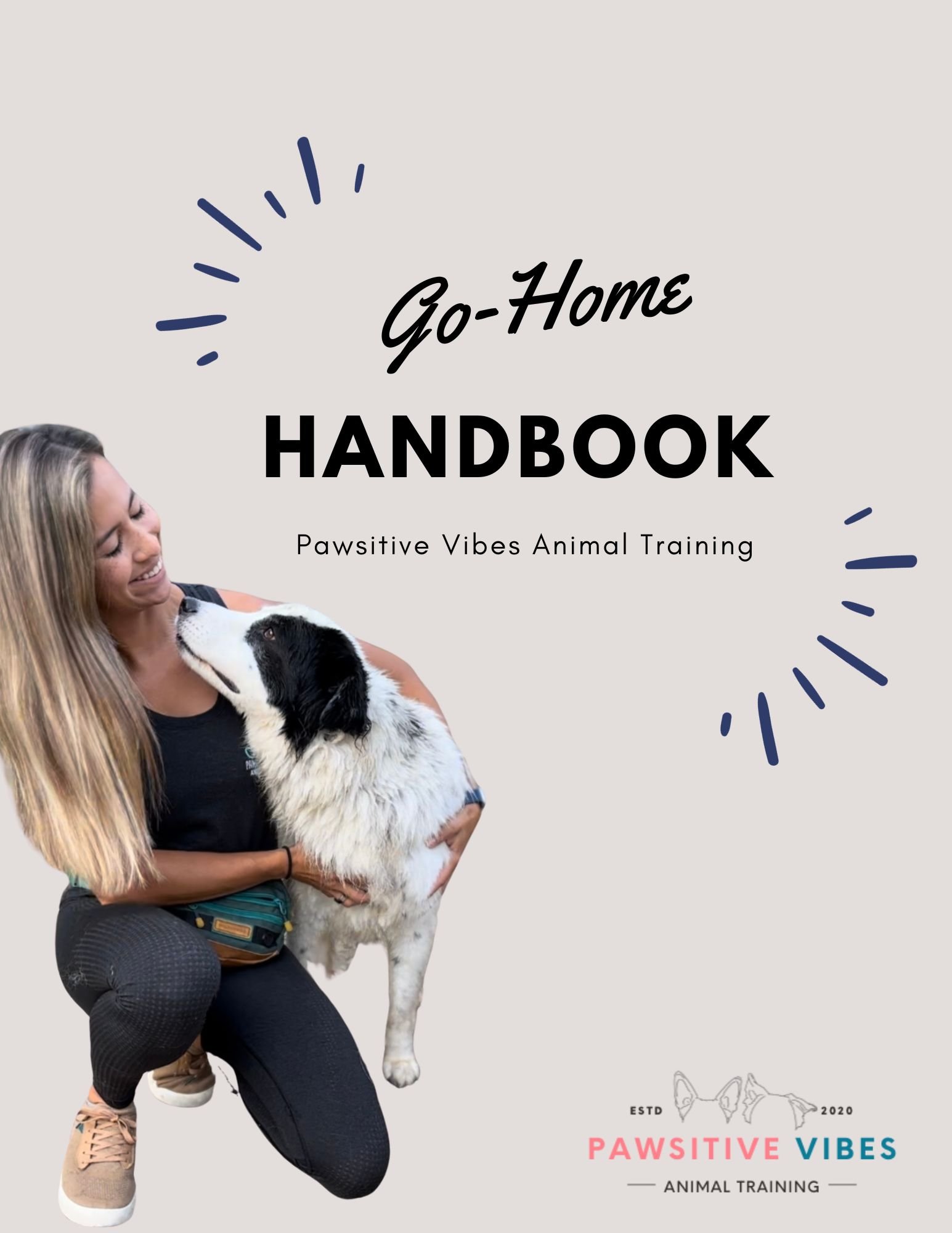 Go-Home Guide
