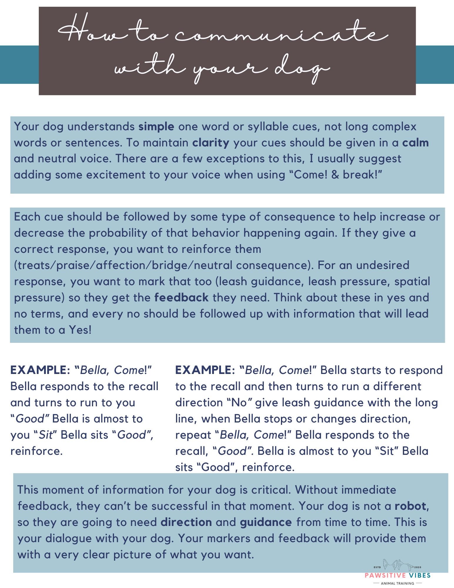 Graduate Handbook (1).jpg