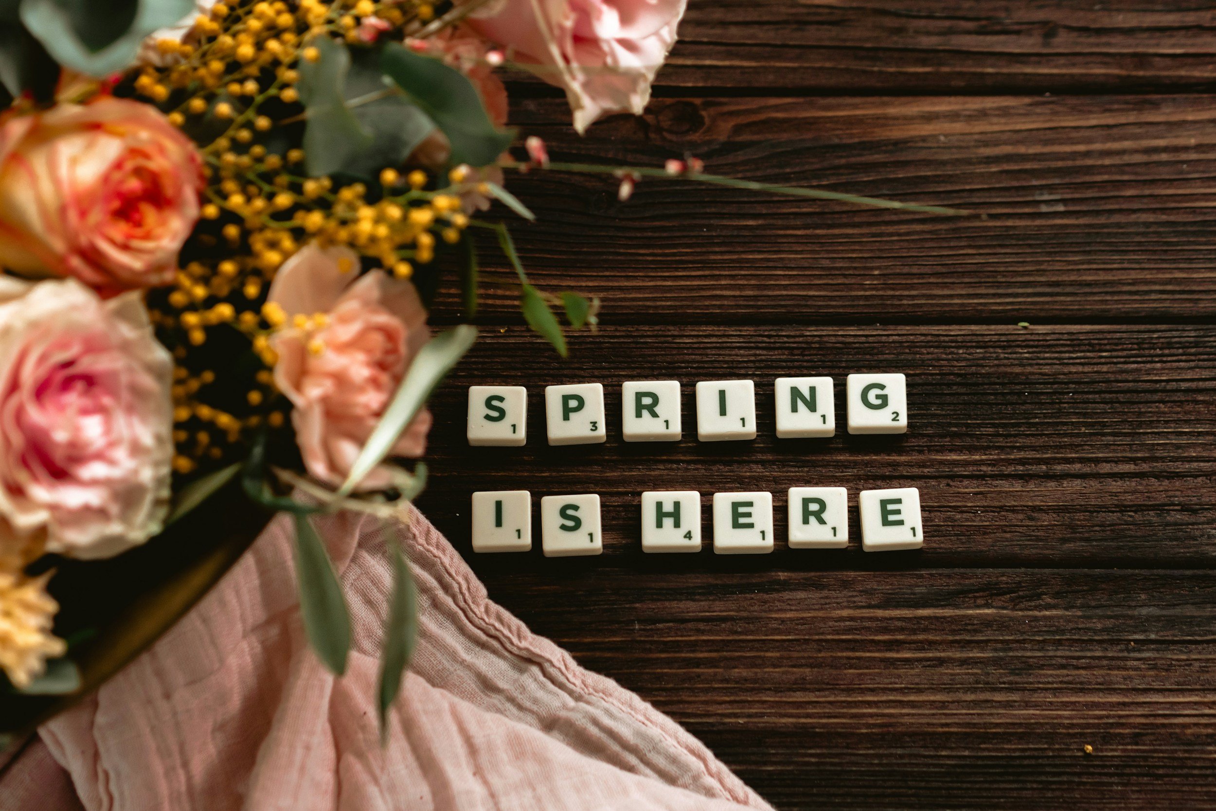 Spring Pressure: Why “Getting Your Life Together” Can Backfire