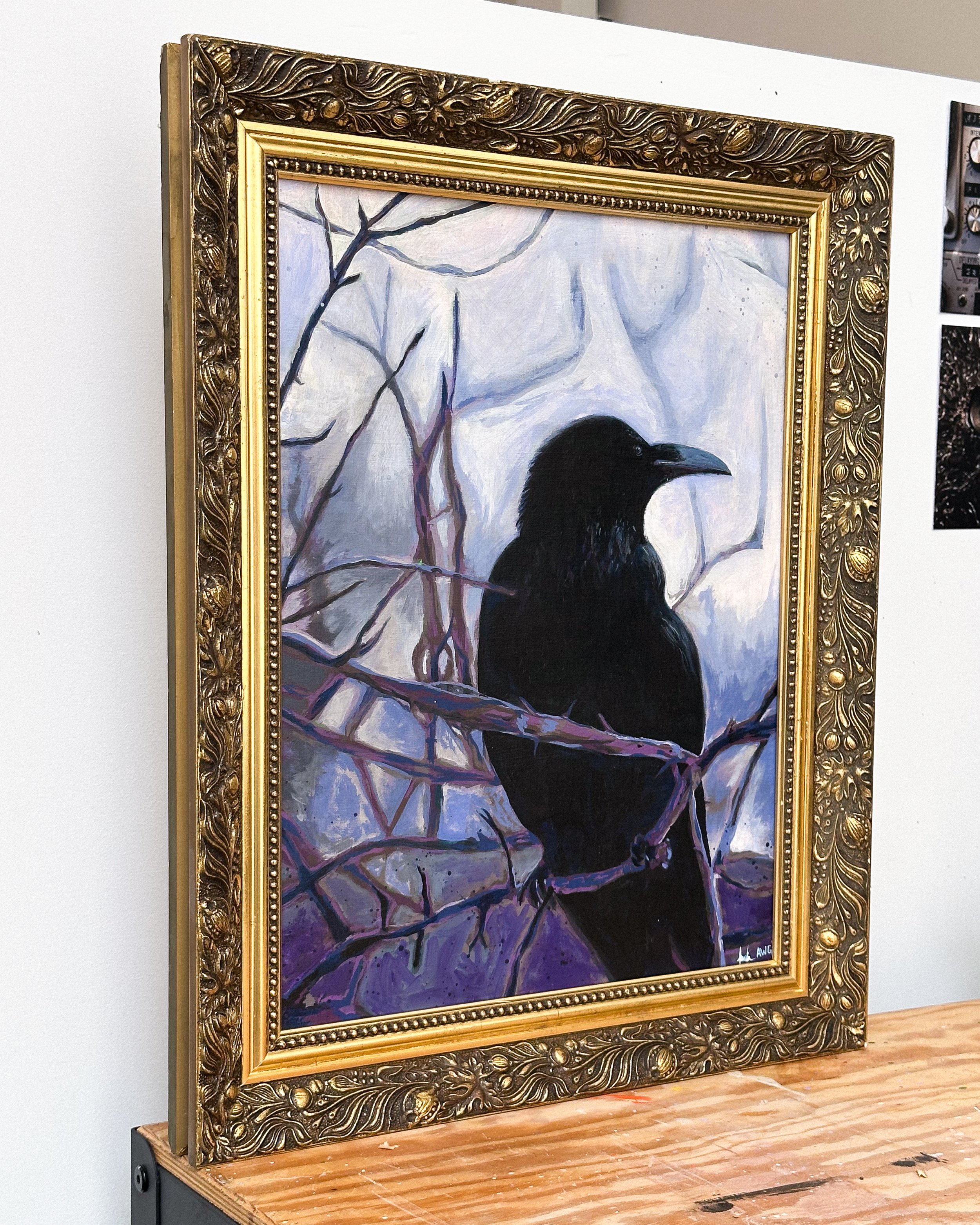 crow326-12.jpg
