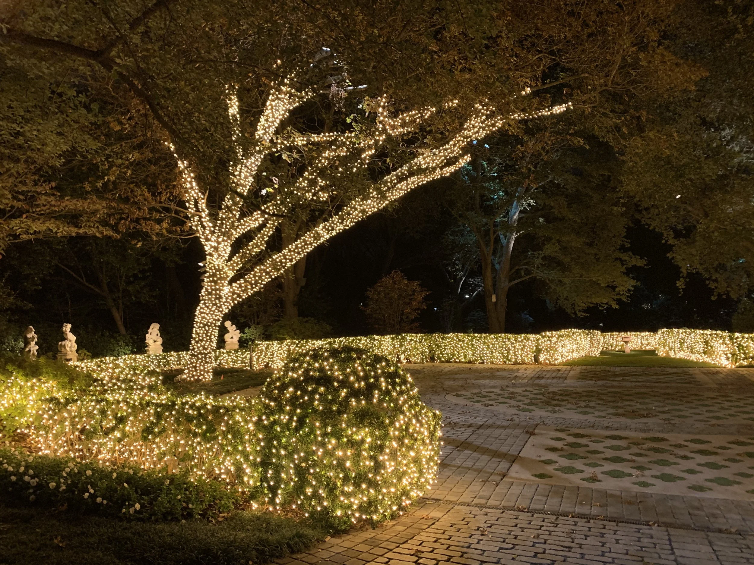 Tree & Bushes (2).jpg