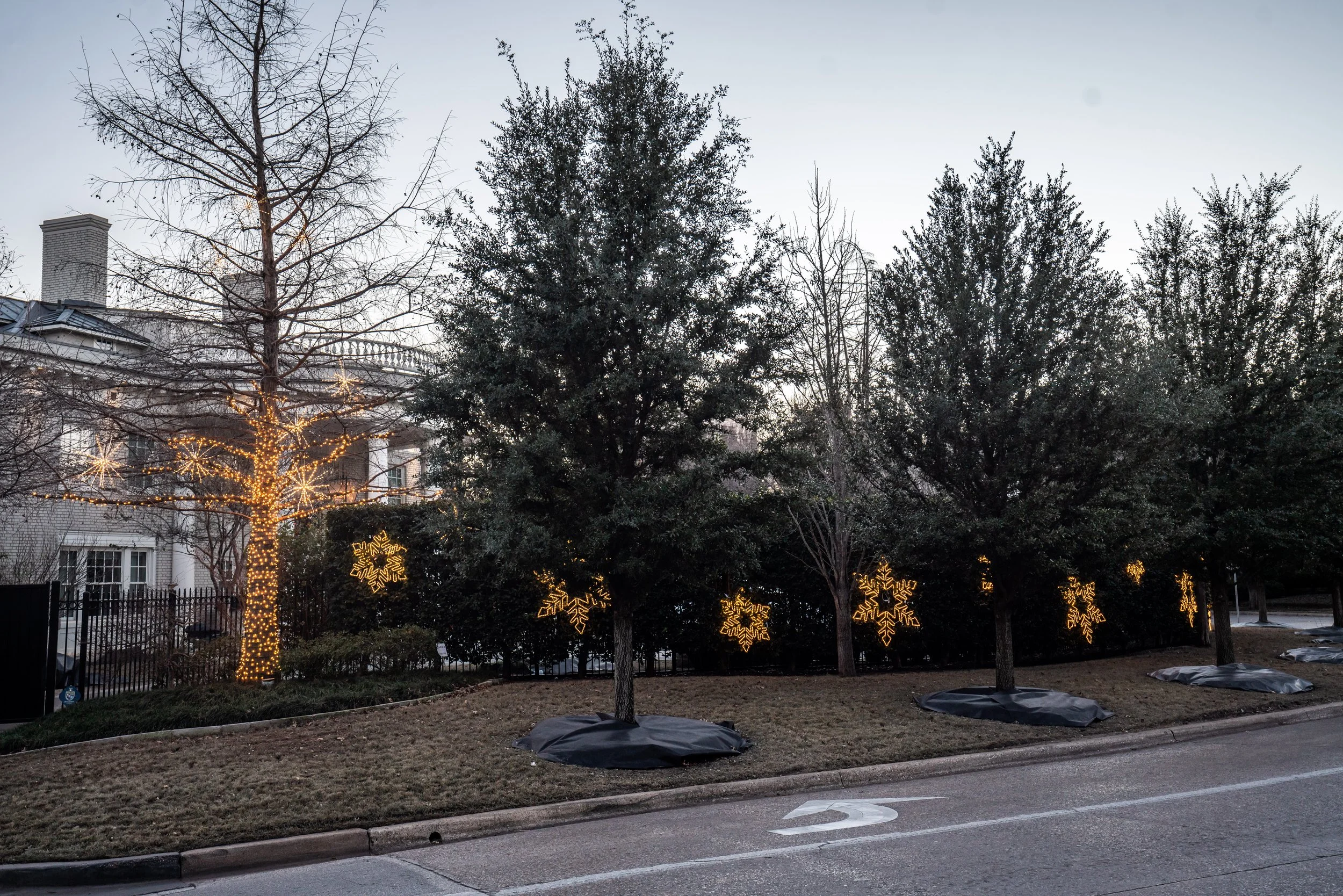 2 - Lara Tefel Left Photo.jpg