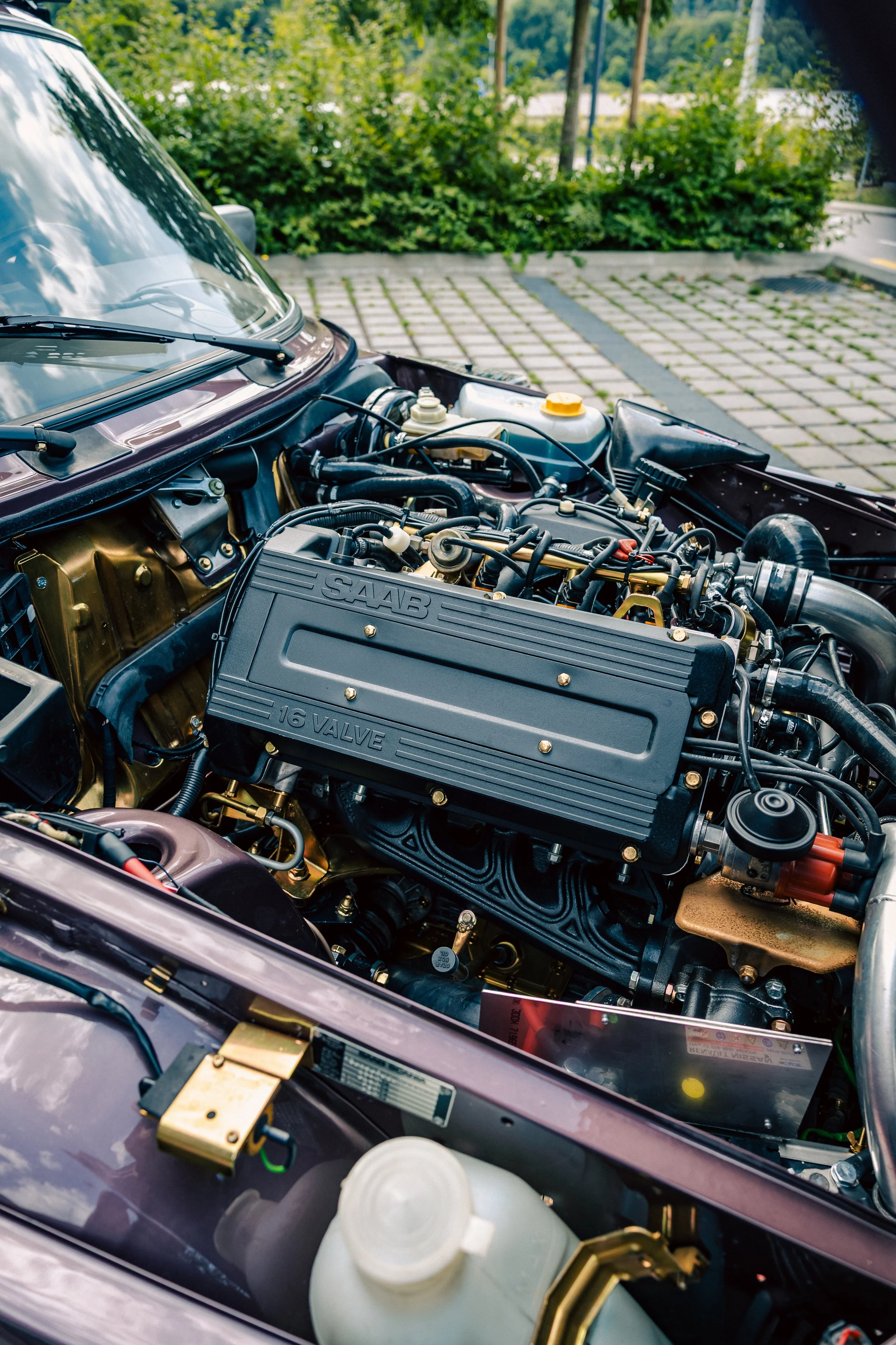 4K4A6178.jpg