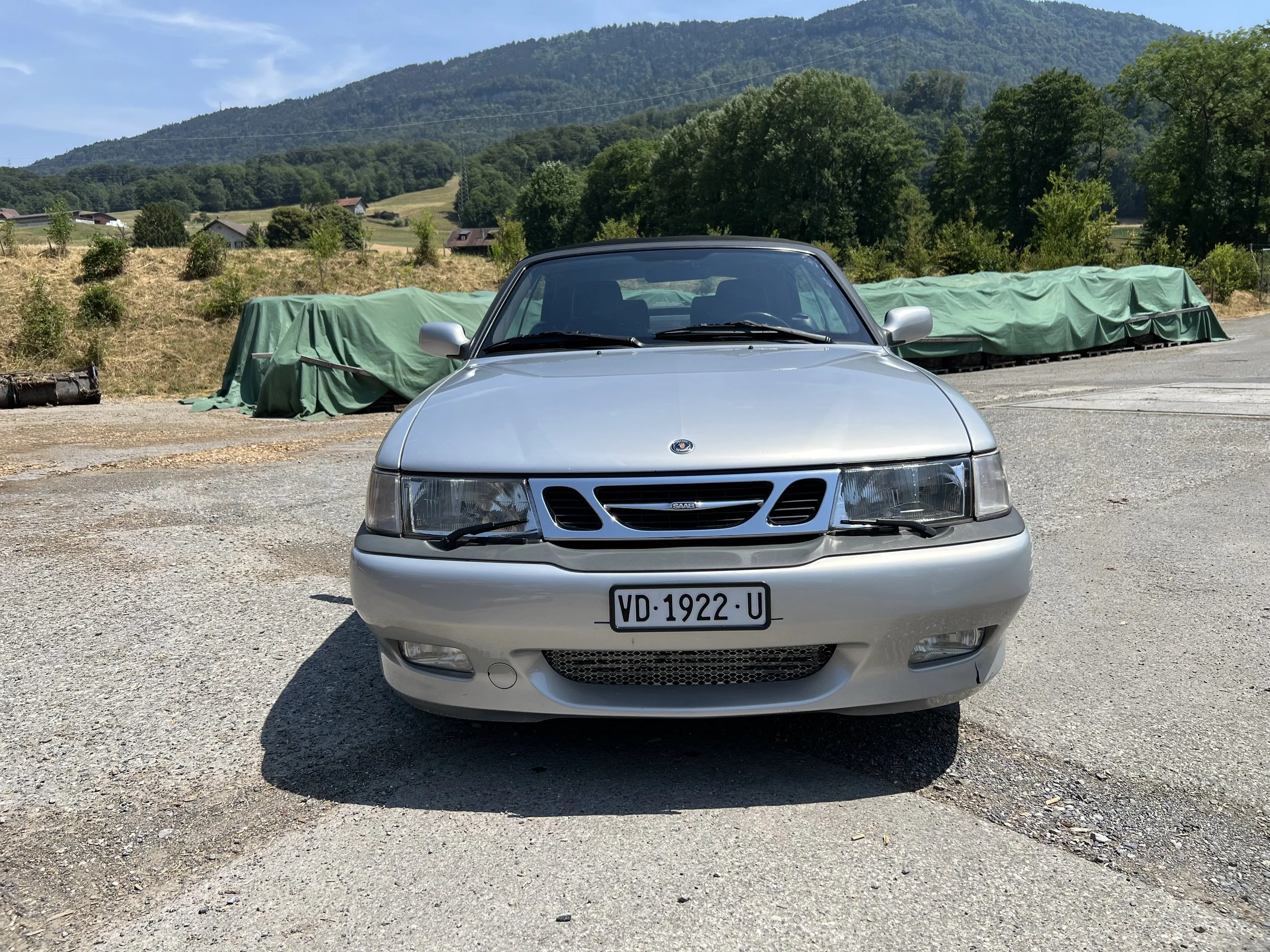 IMG_0968.jpeg