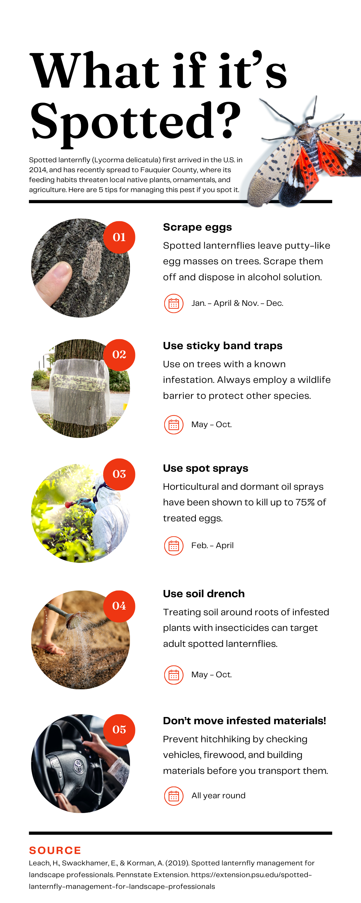 Spotted Lanternfly Infographic (1).png