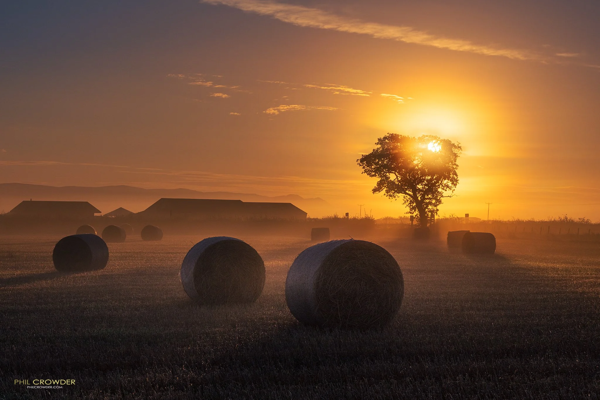 Flanders Moss, Thornhill, Stirling