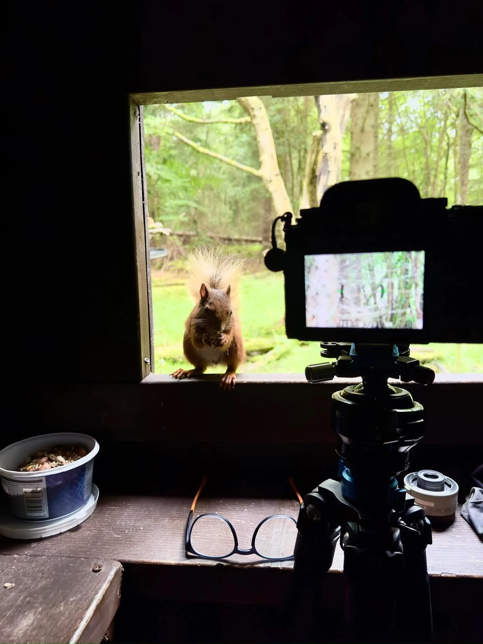 iPhone Basics for photos