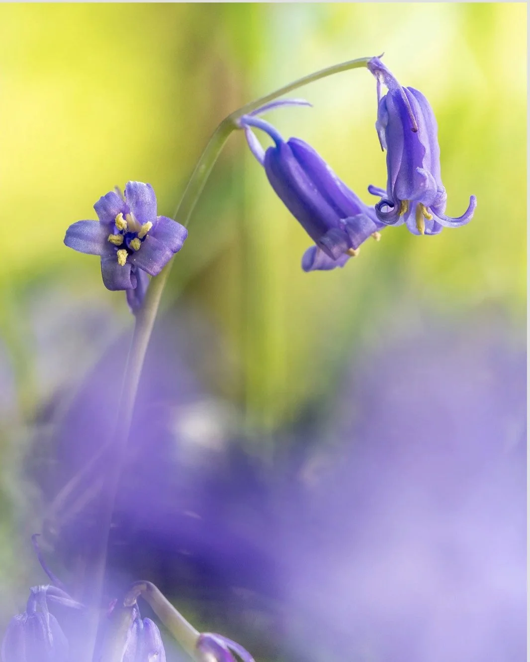 Seasons in Photography