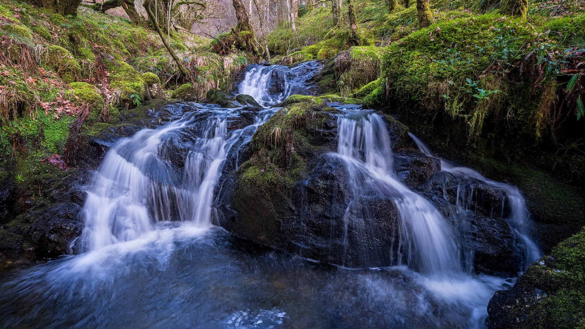 Scotlands Atlantic Rainforest - Mountain Stream