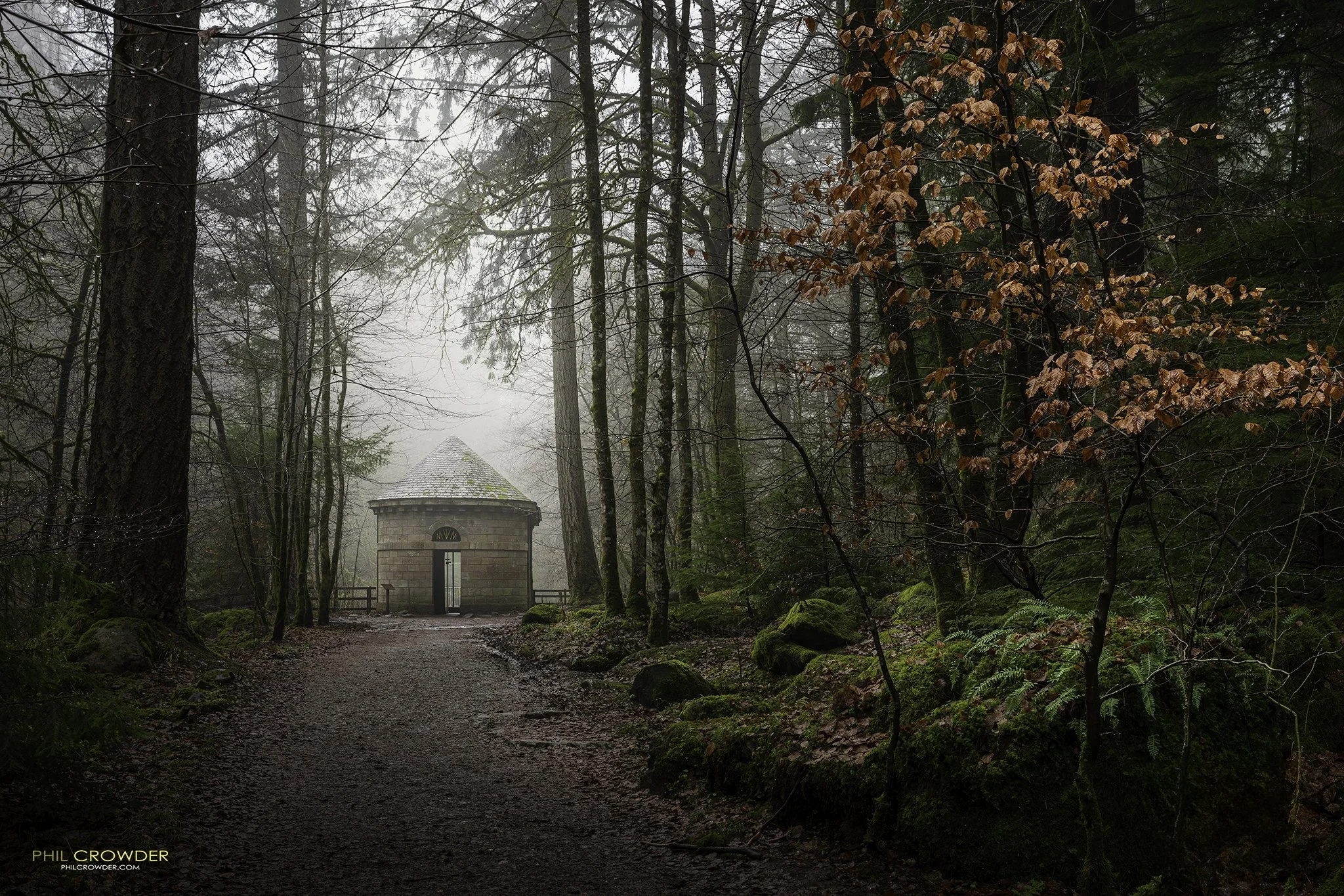 Mist at The Hermitage, Perthshire