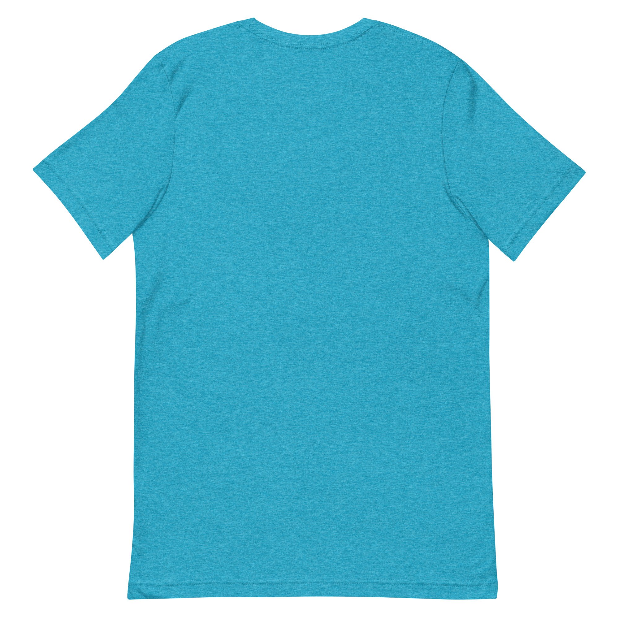 unisex-staple-t-shirt-heather-aqua-back-699efedbef975.jpg