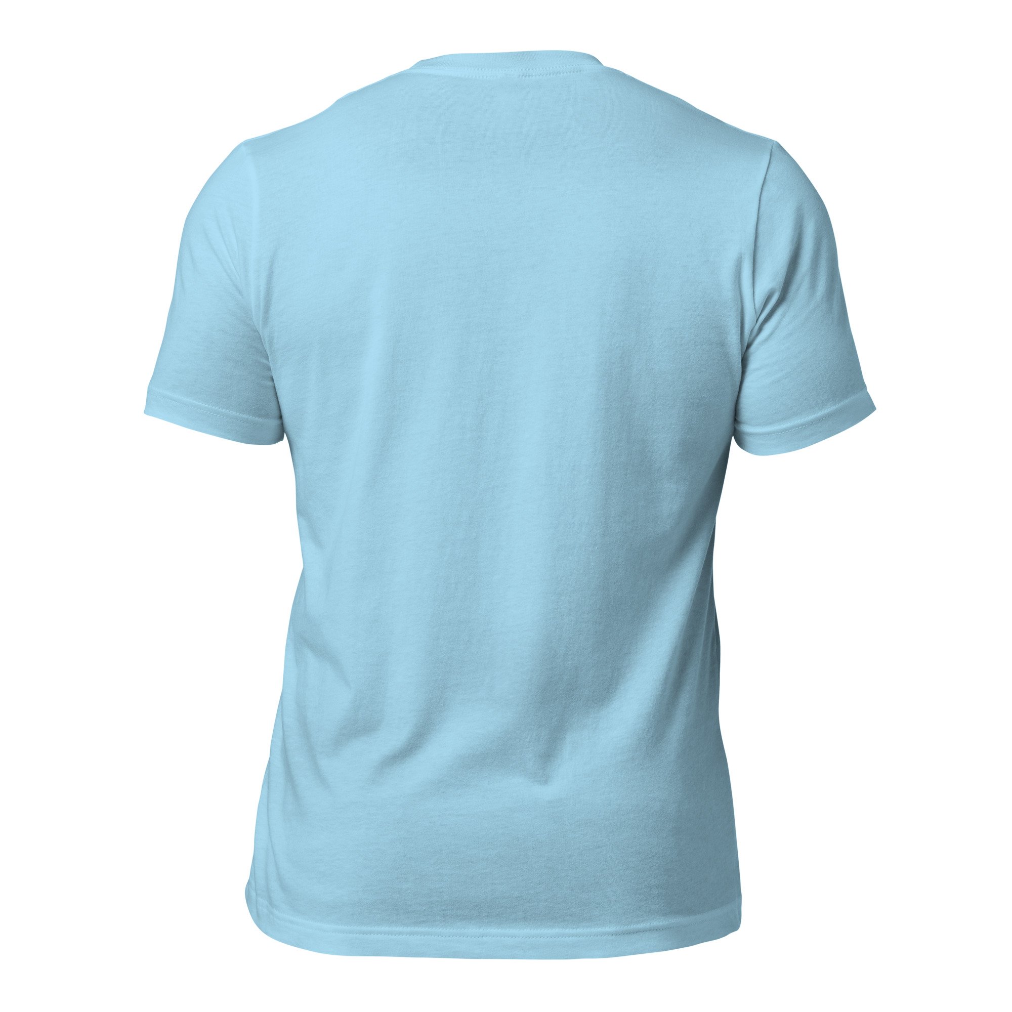 unisex-staple-t-shirt-ocean-blue-back-69c026b8e4ee1.jpg